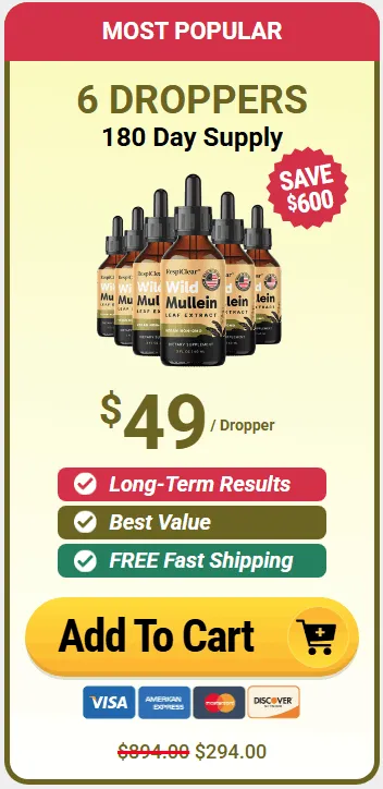 Offer 2